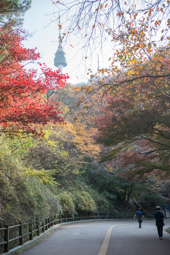 서울단풍명소 남산둘레길