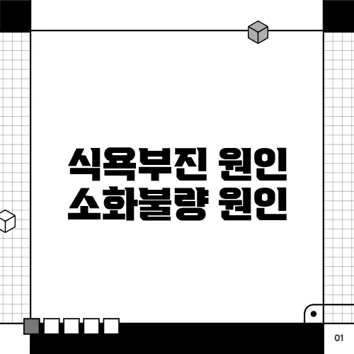 식욕부진 원인 소화불량 원인