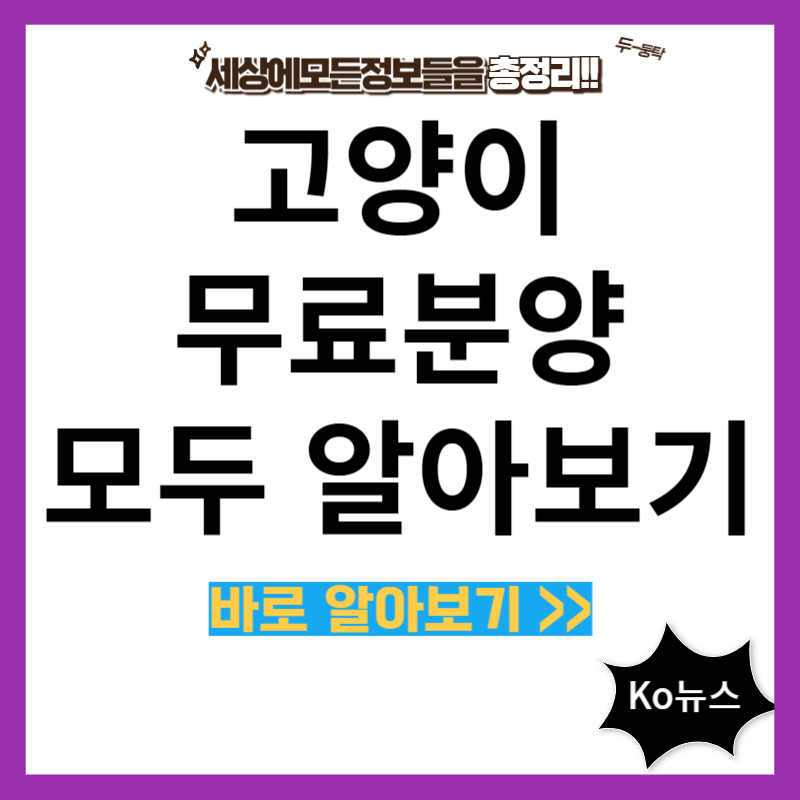 고양이-무료분양