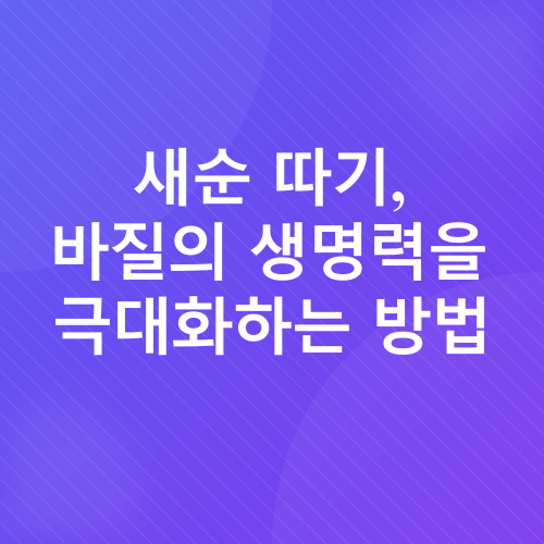바질 키우기_3