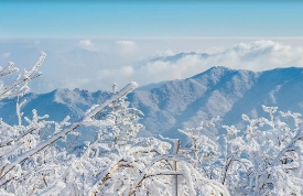 덕유산 실시간 CCTV 향적봉 설천봉