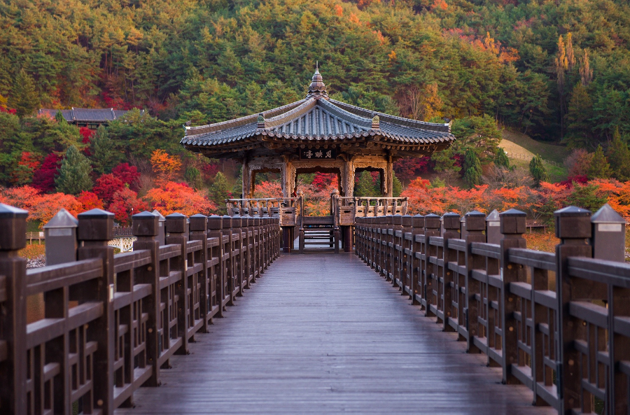 2026 10월 국내여행지 추천