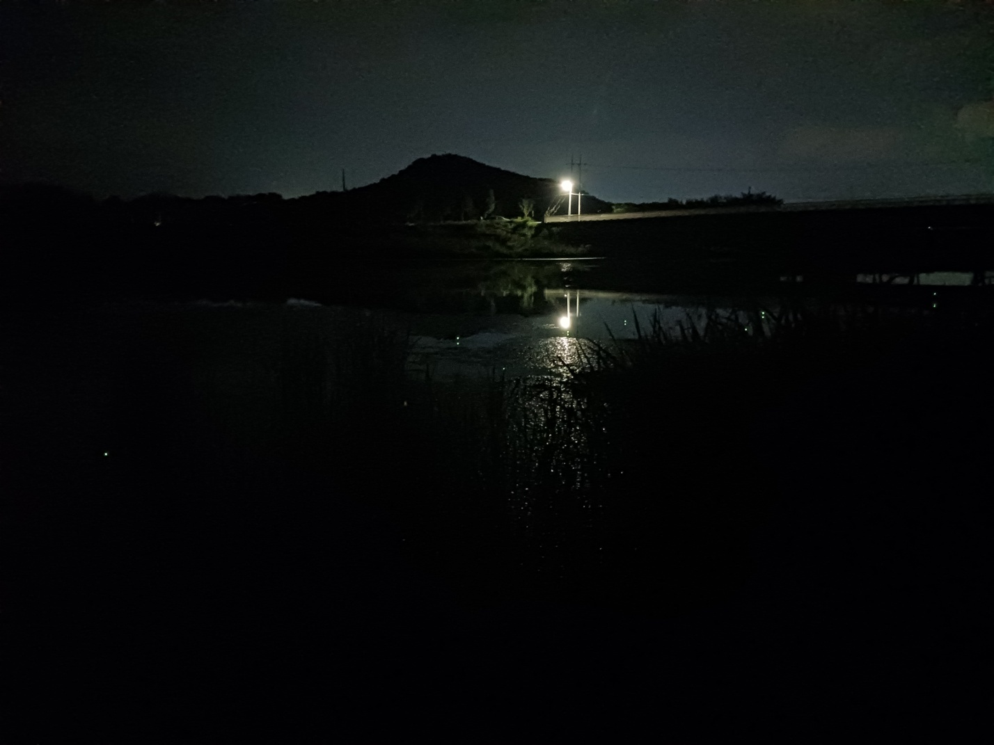 주덕보