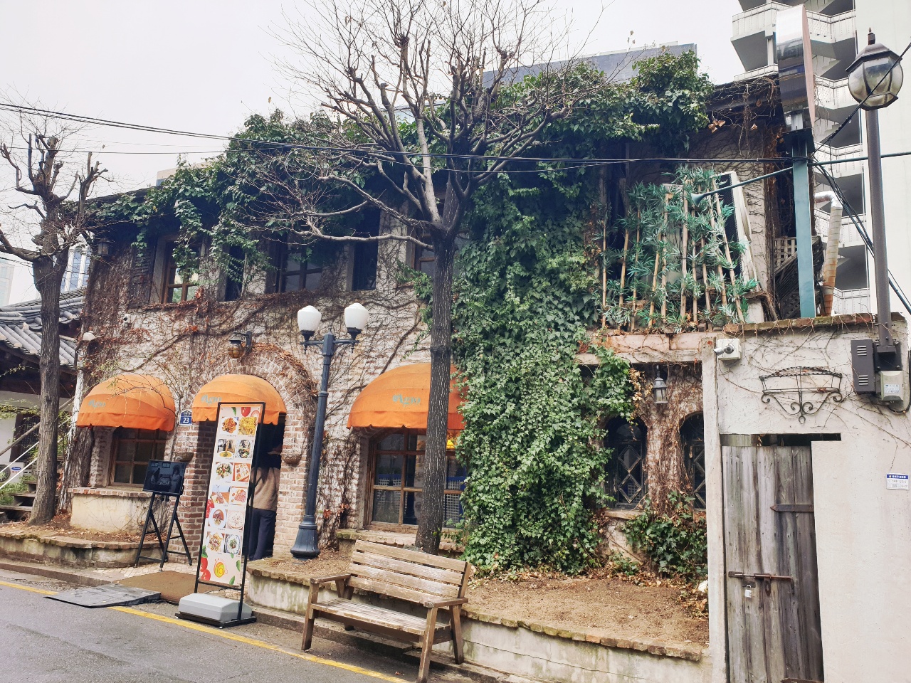 담쟁이 덩쿨이 인상적인 아지오 건물 외관