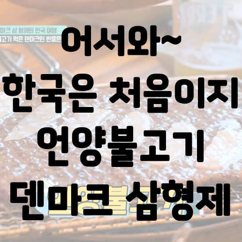 어서와 한국은 처음이지 언양불고기 덴마크 삼형제