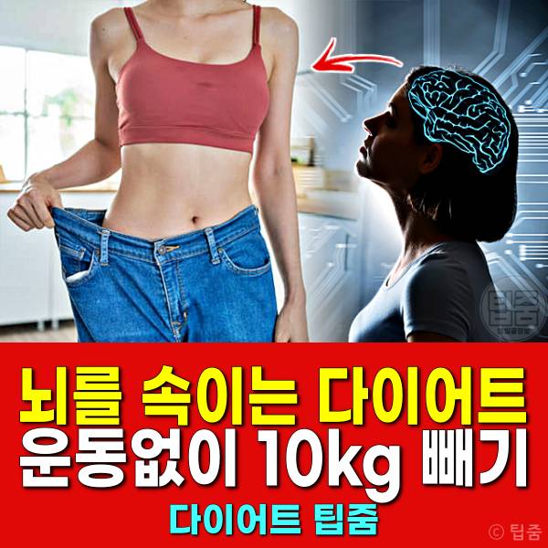 뇌를 속이는 다이어트 운동없이 10kg빼기