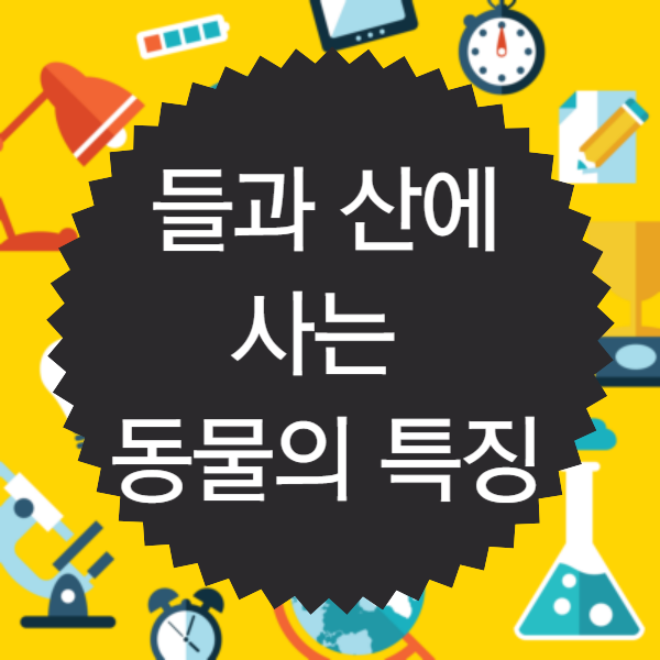 들과 산에 사는 동물의 특징