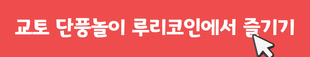 오사카에서 교토로 가는 주말 한정 감성 열차, '가라쿠' 탑승기 관련사진