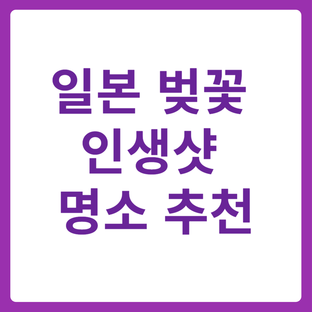 2025 일본 벚꽃 인생샷 명소! 도쿄·오사카·교토 촬영 추천