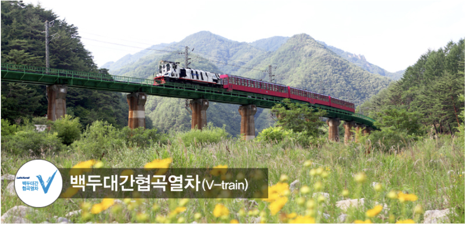 백두대간협곡열차