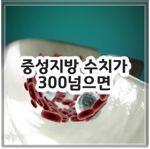 중성지방 수치가300넘으면