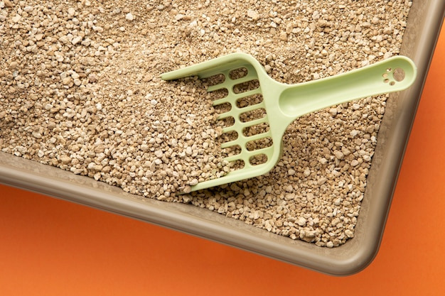 고양이 건강한 똥 상태 점검 리스트