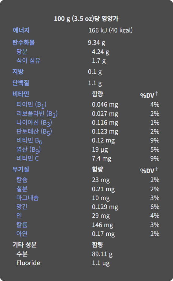 양파-영양성분