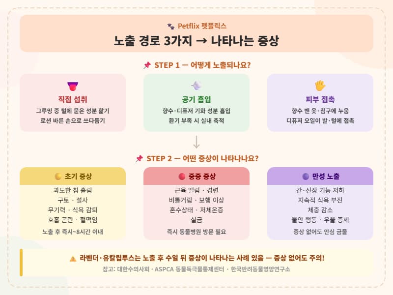 반려동물 독성 성분 노출 경로(직접 섭취&middot;흡입&middot;피부 접촉)와 초기&middot;중증&middot;만성 단계별 증상 흐름도. (펫플릭스 Petflix)