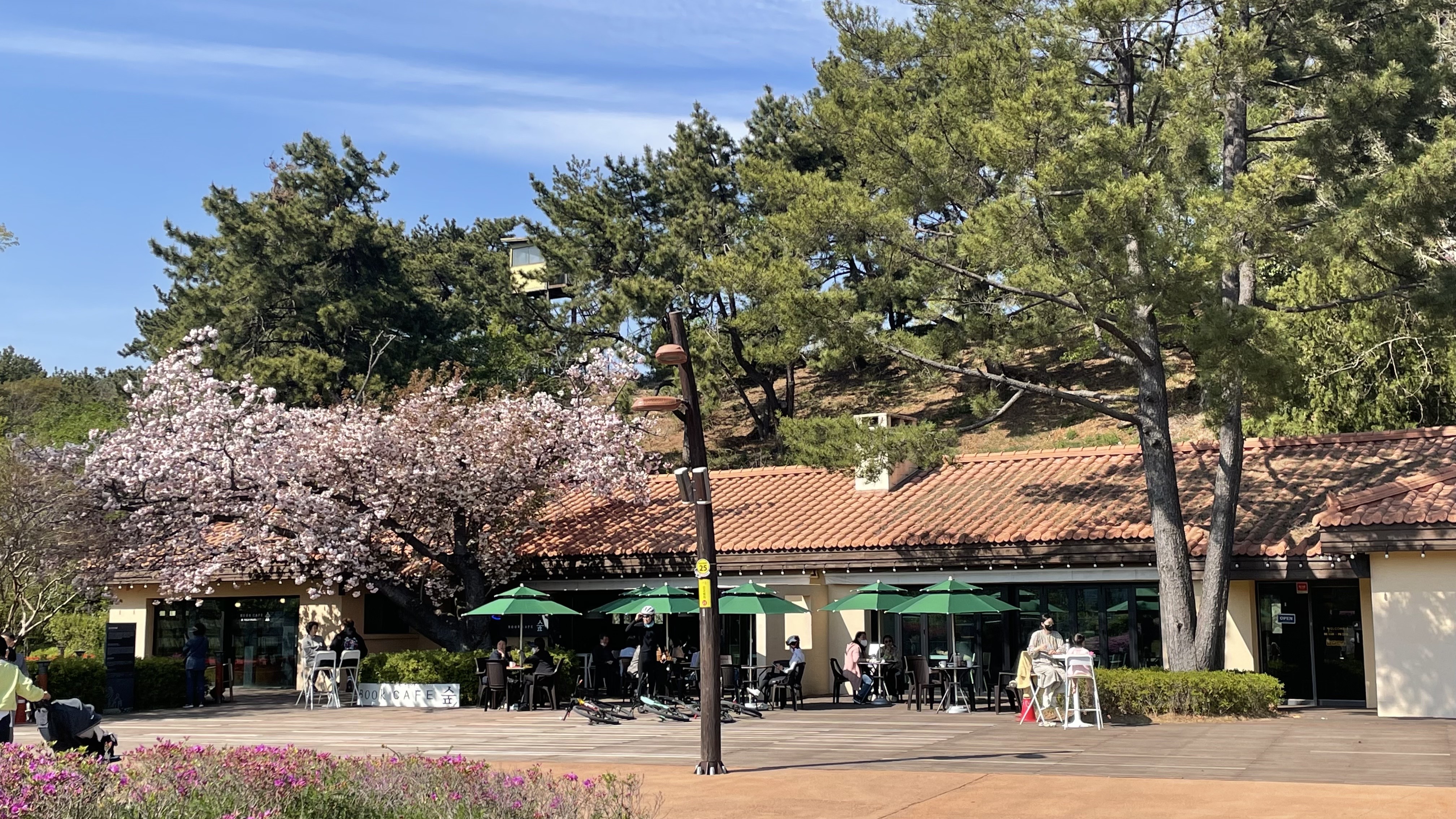 숲속북카페 pet friendly