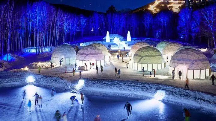 호시노 리조트 토마무 (星野リゾート トマム)