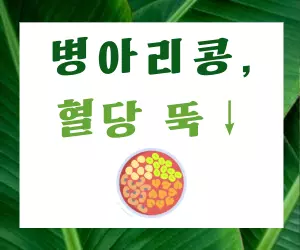 "병아리콩, 도대체 정체가 뭐야?" 혈당 잡고 다이어트 돕는 슈퍼푸드의 비밀!