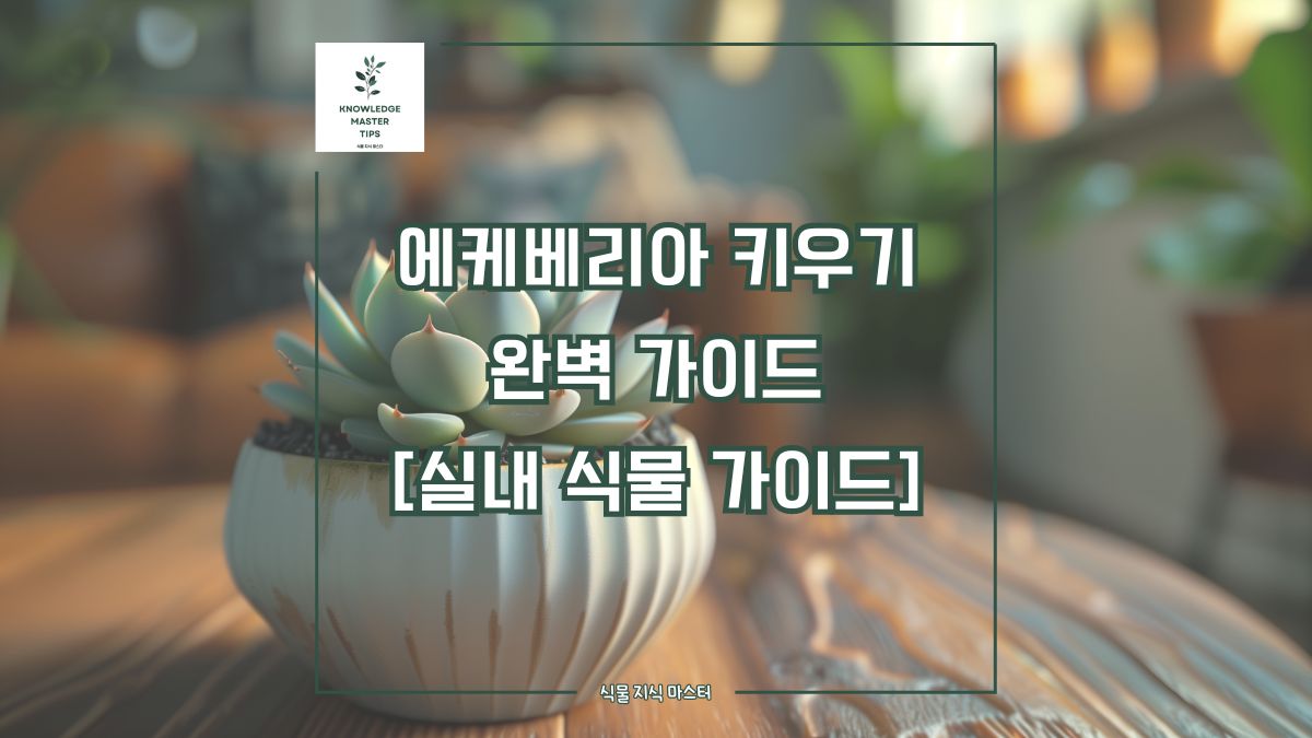 에케베리아 키우기, 완벽 가이드 [실내 식물 가이드]