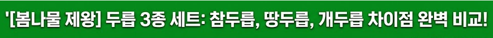두릅 채취시기