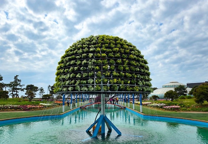 태안 세계튤립공원