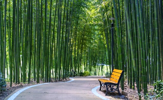 섬진강대숲길-구례-가볼만한곳-추천