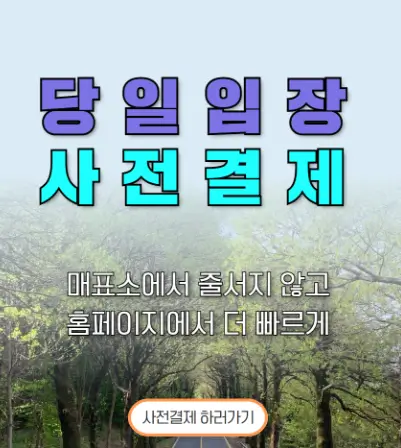 당일입장-사전결제-안내문구-포스터-사진
