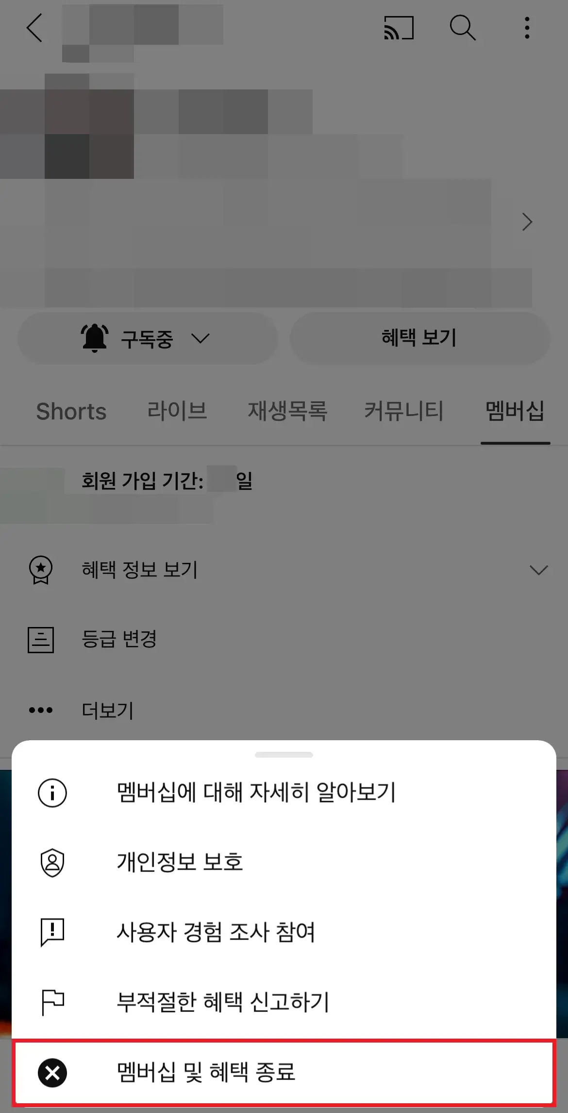 유튜브 채널 멤버십 취소 방법