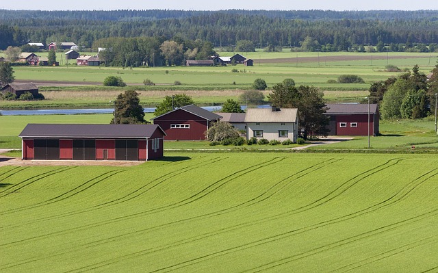 농업과 인공지능: AI가 바꾸는 농업의 미래