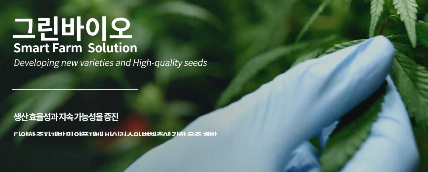 우듬지팜 주가분석 전망