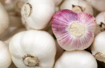 면역력을-높이는-방법-면역력에-좋은-음식-건강