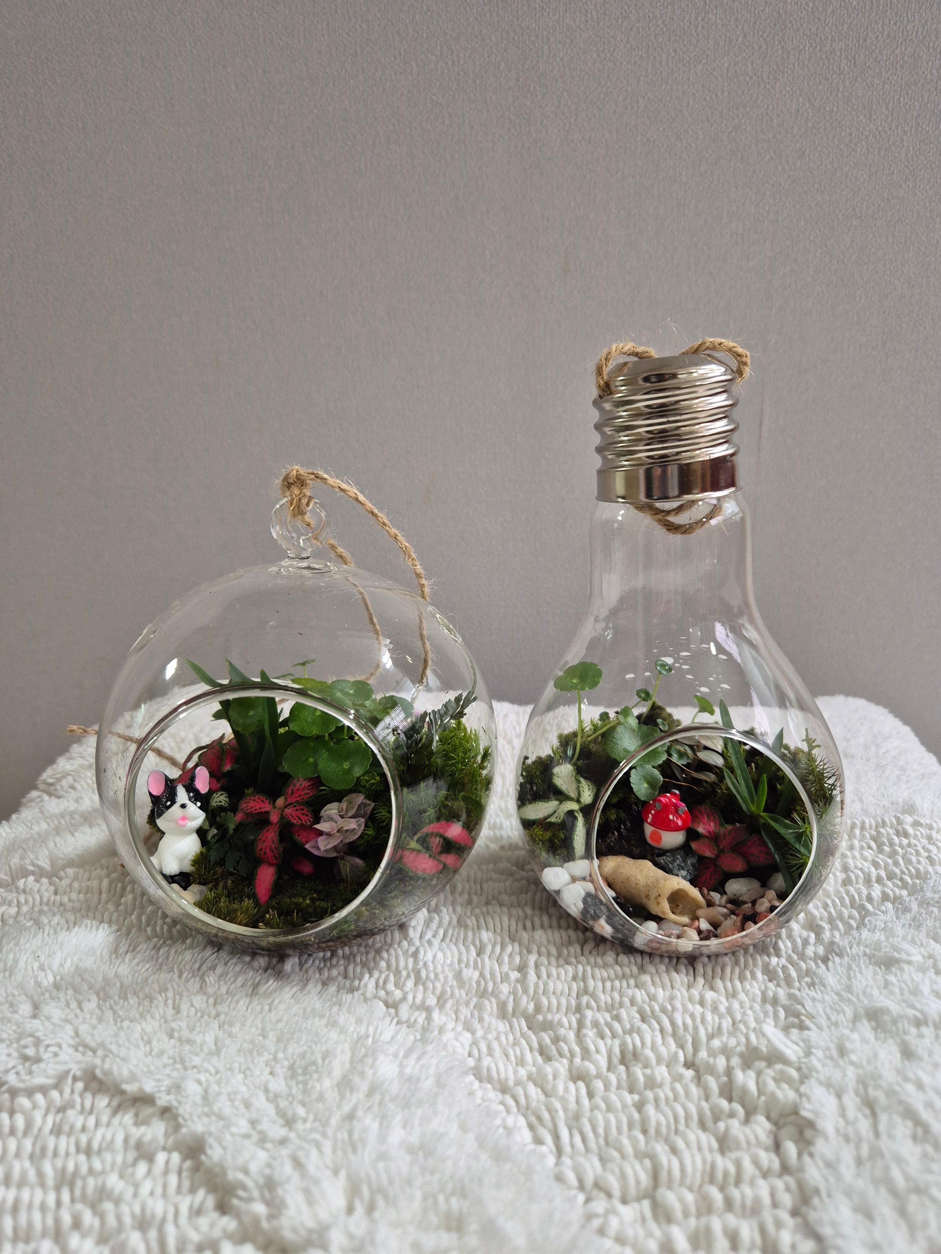 당진 포마이그린 꽃집&amp;#44; 화분&amp;#44; 꽃&amp;#44; 테라리움&amp;#44; 스칸디어모스 - 솔뫼성지 로컬푸드 입점&amp;#44; 테라리움수업&amp;#44; 꽃수업