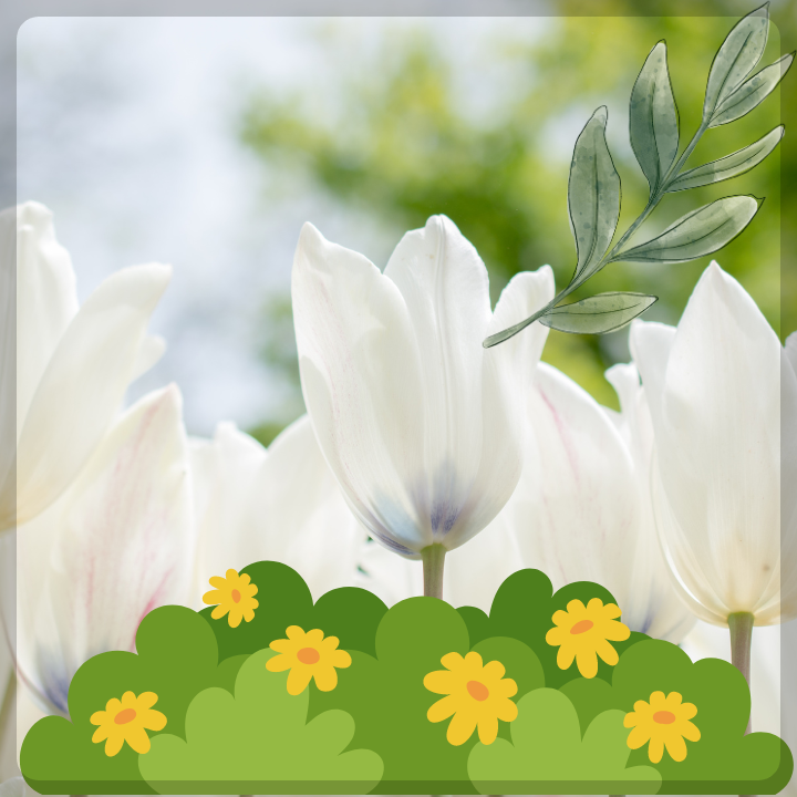 카멜리아힐-입장료