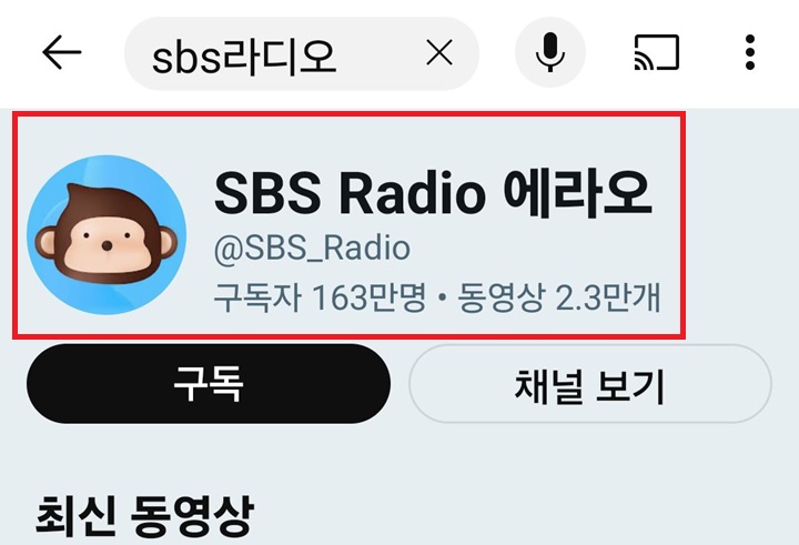 SBS 라디오 채널 보임