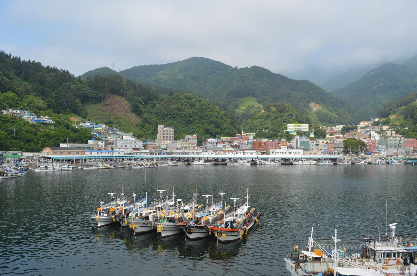 울릉도 6월 날씨