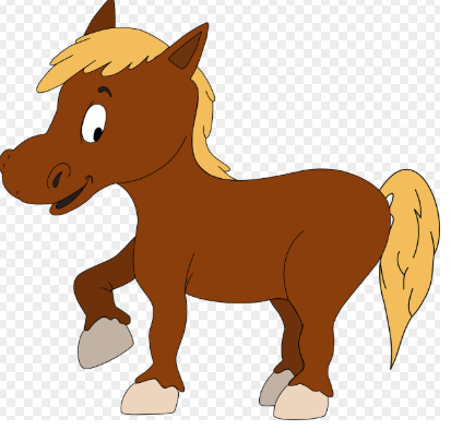 2025년 띠별 운세 총정리