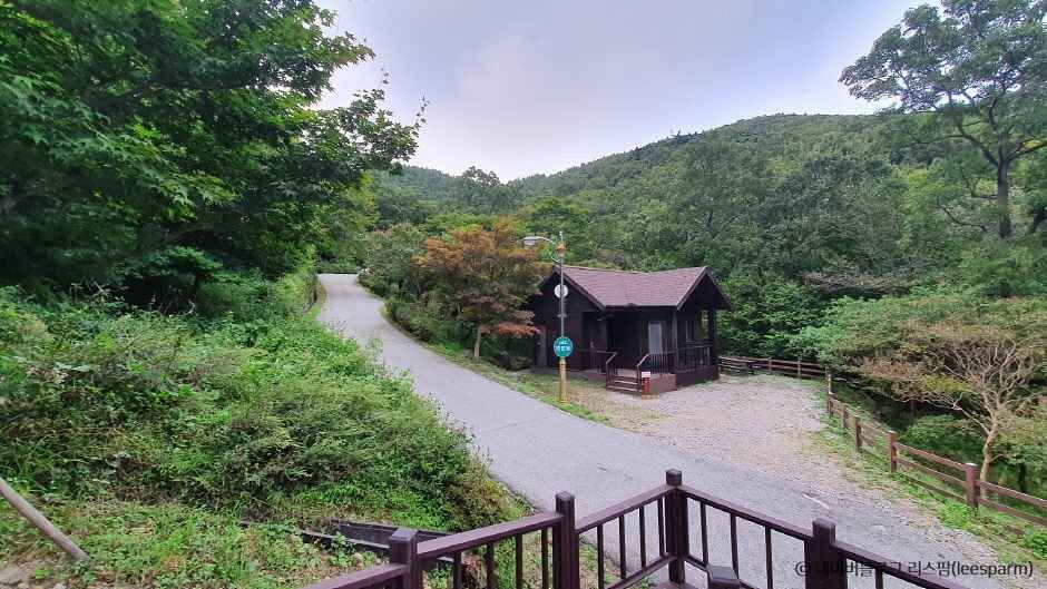 장성 가볼만한곳 베스트10