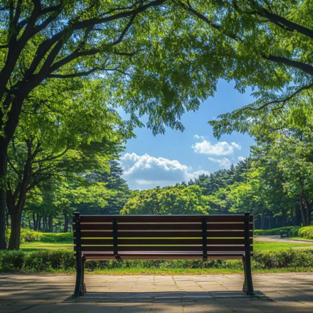 혼자 힐링 장소 관련 사진