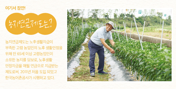 농지연금