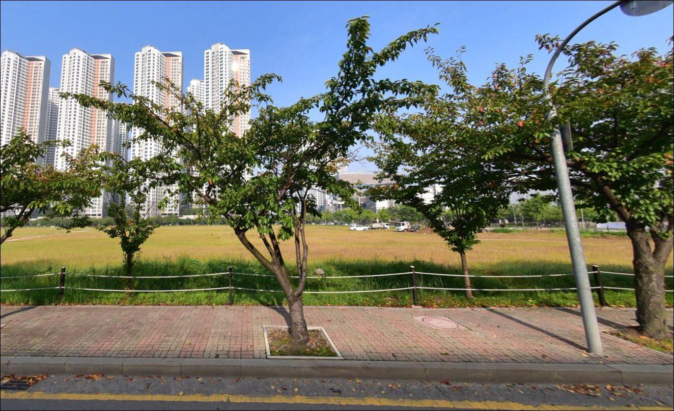 고양꽃박람회 주차장