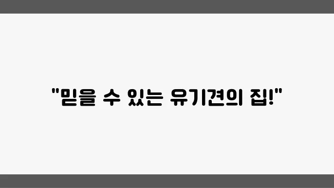 유기견보호소에서 진행하는 미사유기견보호소