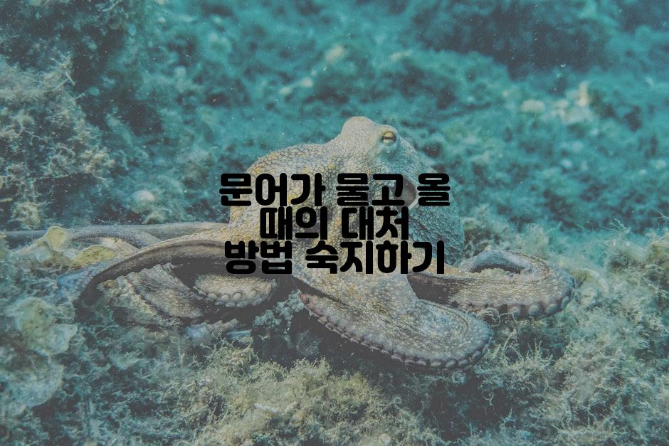 문어가 물고 올 때의 대처 방법 숙지하기