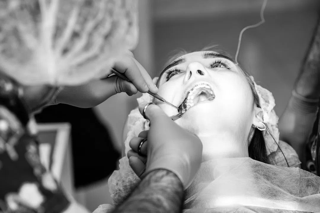 임플란트뼈이식