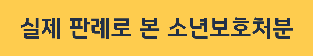 실제 판례로 본 소년보호처분