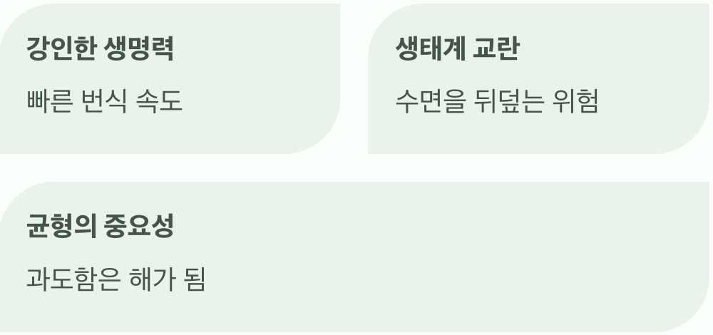 두 얼굴의 불사조&amp;#44; 경계의 대상