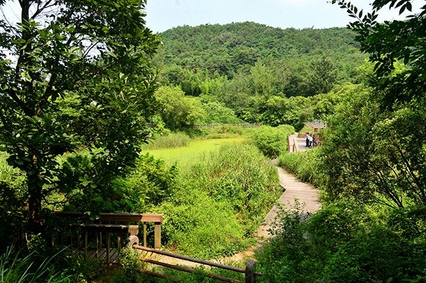 2025년 여름, 가족과 함께 떠나는 전국 농촌 체험마을 BEST 5 관련 사진