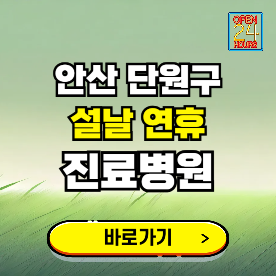 안산시 단원구 설날 연휴 진료병원 찾기 ❘ 24시 응급 야간 심야 문여는 병원