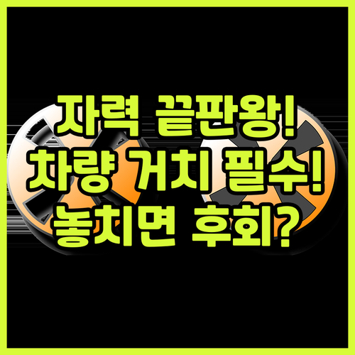 신지모루 바우아토 맥세이프 케이스 투..