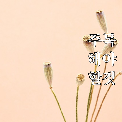 막연한 불안감 해소 2025 아리수 ..