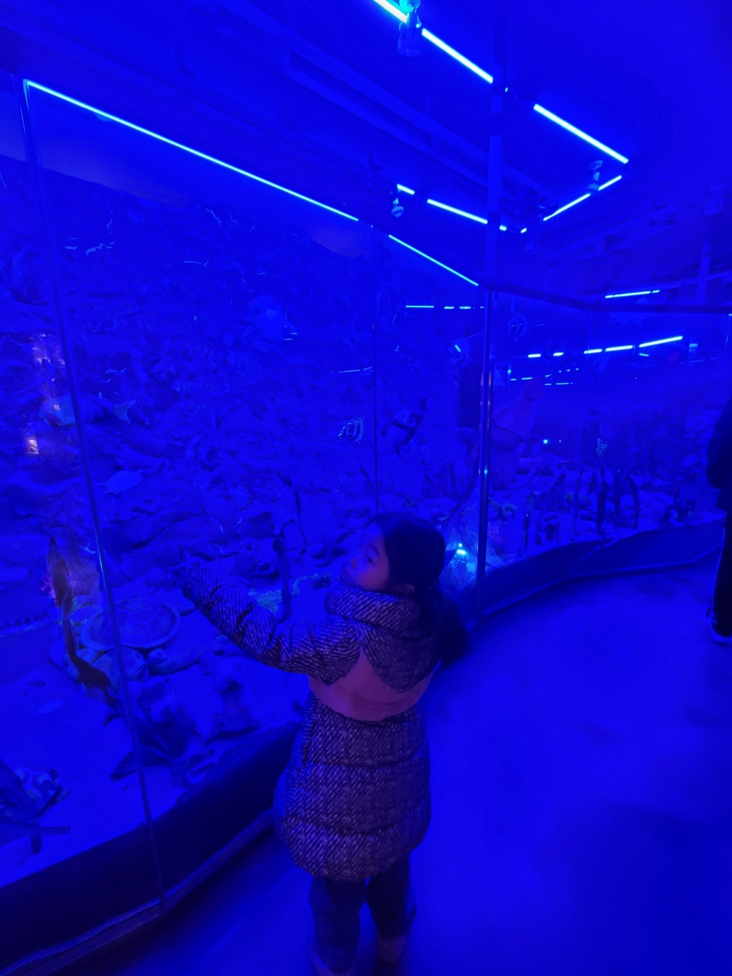 제주도 아이와가볼만한곳 (테디베어하우스)