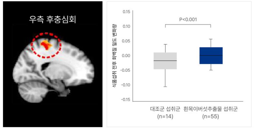 흰목이버섯 효소분해추출물의 특징,효능, 제품추천